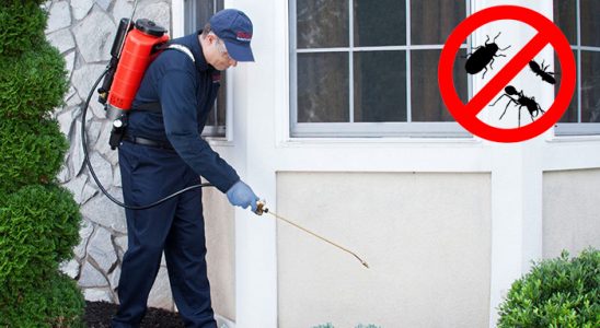 Gömeç Böcek ve Haşere İlaçlama böcek ilaçlama ve haşere kontrolü — ilaclama-tr.com